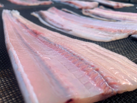 【福袋】13種★綱元漁師厳選ごほうびセット(大)★おまけつき