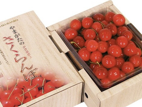 【 ご家庭用:佐藤錦 】山形県産 500g 🍒サイズM〜LLお楽しみ商品になります^_^！！