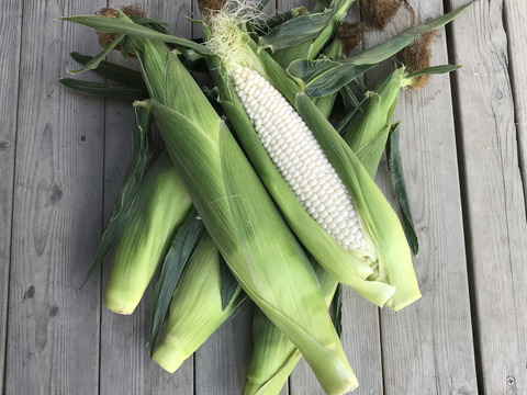 京の野菜セット【漢方栽培】