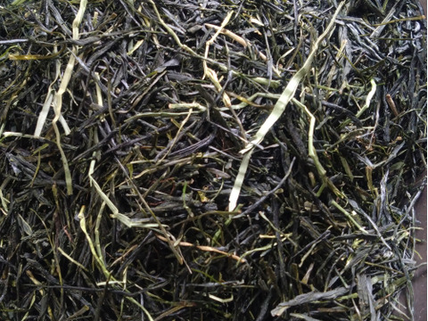 全部茶（2024年）　農薬・肥料不使用 加茂自然農園のお茶