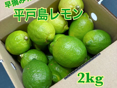 早摘み 平戸島レモン
贈答用 2キロ【長崎県平戸島産】