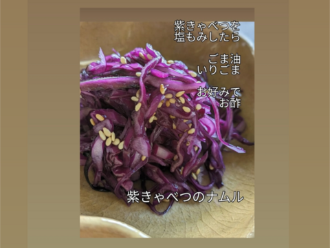 ミニ紫キャベツ　３キロ