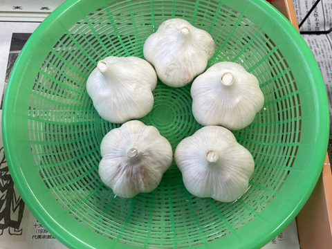 （有機にんにく）青森県田子町産にんにくLサイズ（A,B規格）1kg