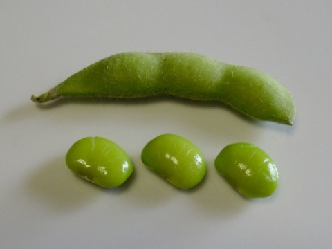 茶豆風味の枝豆～湯あがり娘（１.５kg）
