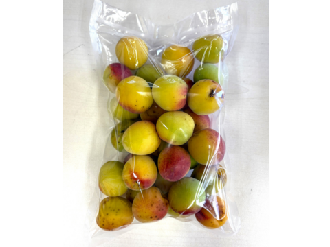 【冷凍青梅1㎏×２袋】　今年の梅しごとは、この青梅で。見た目じゃない、おいしさで勝負。　品種：南高　梅酒や梅シロップに！