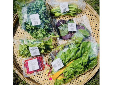 【朝採れ】自然栽培旬野菜セット・約6種類（草の力だけで育てたこだわりの無肥料野菜）