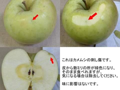 ★ぐんま名月★１１ｋｇ★訳あり★傷・虫害含む★バラ詰め★青森県産★農家直送★