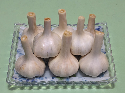 採りたて新鮮『にんにく』3玉300ｇ 滋養強壮みずみずしくガツンと旨い！数量期間限定！