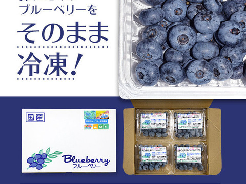冷凍ブルーベリー：4品種（500g）
