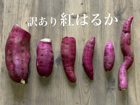 【訳あり5kg】焼き芋好きが作るねっとり系品種紅はるか