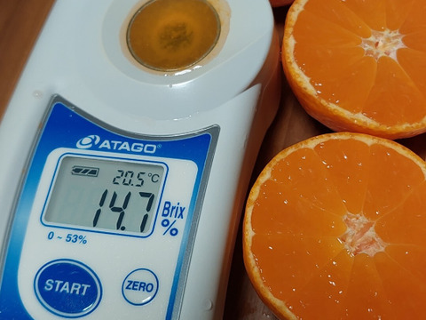 有田みかん【完熟ゆら早生】3.3kg（箱込）