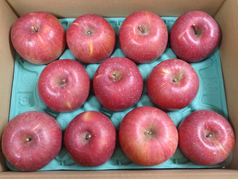 【大切な方へ】上品　サンふじ　約3キロ【葉とらず・11～12玉】JA基準より60％減の低農薬栽培