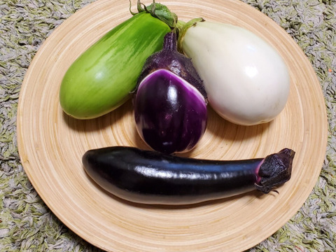 テーマは『優しさ』旬の野菜セット(野菜7種類以上)農薬・化学肥料不使用