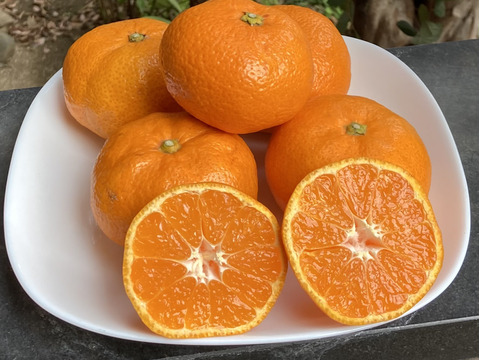 【濃厚！絶品！糖度15度以上】蔵出しプレミアム　幻のみかん　3kg