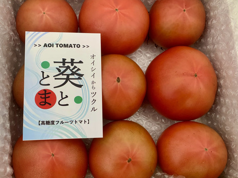塩トマト【家庭用・試食用】1.4kg