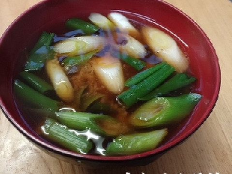 ✅【料亭用】✅【春の葉ネギ】【10%以上増量❗️❗️】通常1,8kg入りを→【2kg】に増量(S/M/Lサイズ混合)40～50本前後2,480円→1,480円✨信州産✨【特別栽培】✨【無消毒栽培】