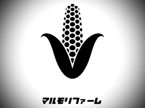 独自開発した比重選別した『すぐ食べ朝採り』トウモロコシ3〜5本【5月中旬から早期発送】※限定生産