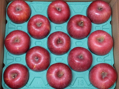 【大切な方へ】贈答用サンふじ5キロ11～12玉【葉とらず・特大サイズ】JA基準より60％減の低農薬栽培