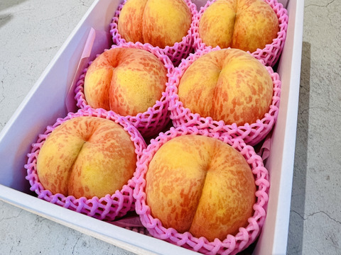 硬い黄桃】ラストゴールド 約4〜7玉 【超数量限定】：長野県産の果物