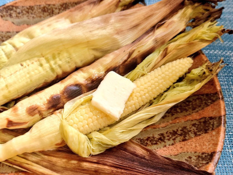 ヤングコーンであなたの人生変わったらゴメンナサイ（60サイズ）