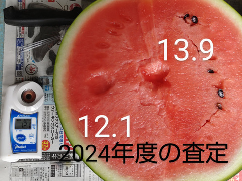 完熟　大玉春すいか　1玉(6〜8kg)