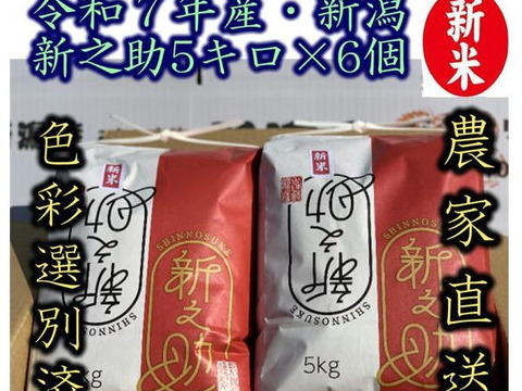 米とぎ不要の無洗米　大粒で　粒感がありしっかりとした食感　冷めても固くなりにくい新米　新潟県のお米のトップブランド　新之助（新潟県認証銘柄）　白米5kg ×6個★農家直送★色彩選別