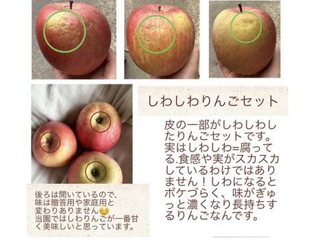 しわりんご★味濃い甘い！サンふじ★無肥料.農薬節約30%〜.除草剤.摘果剤.摘葉剤不使用★【5kg箱】
玉数指定不可/予約販売開始！/家庭用/りんご