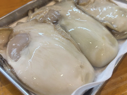 日間賀島産》天然岩牡蠣【ラストシーズン】今だけの旬❗️精密洗浄