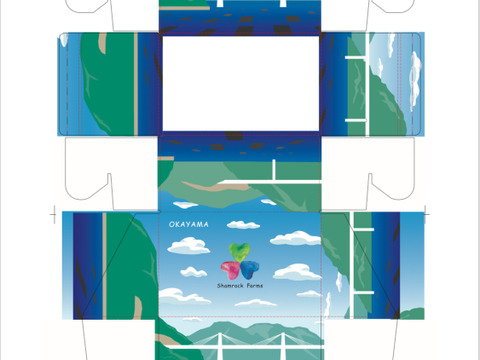 贈答用岡山県産さちのか➕岡山県ブランド品種晴苺