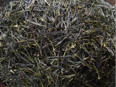 煎茶（2024） 在来種 新茶 加茂自然農園のお茶　農薬・肥料不使用　緑茶