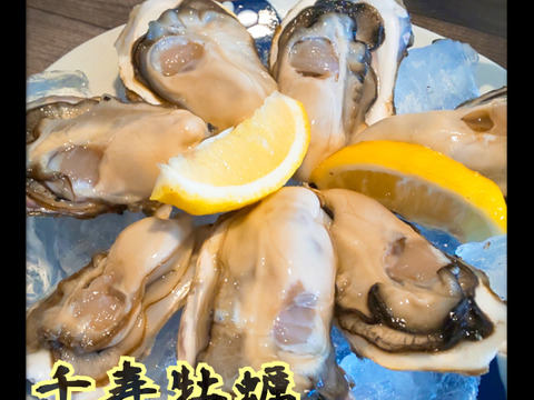 大人気‼️仙鳳趾の牡蠣‼️【剥き牡蠣‼️500g】
