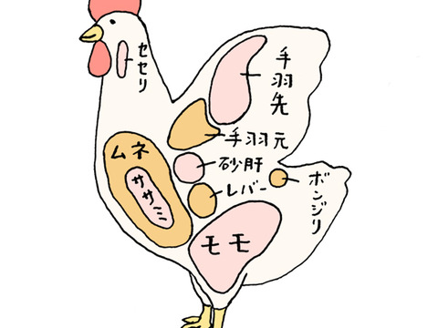 【期間限定】鶏屋の本気の親子丼☆材料フルセット！ミルキーエッグ+親鶏もも+米+野菜（小セット）