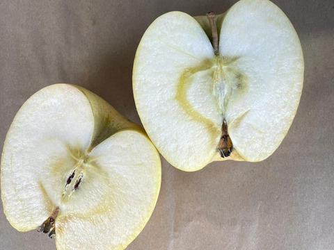 甘くてジューシー！きみと (B品りんご２㎏)