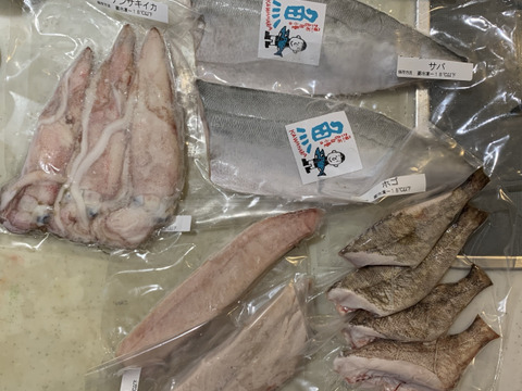 お刺身、焼き魚豪華おまかせBOX松12袋