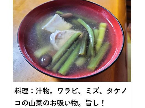 ワラビ  トロっトロな食感がクセになる＜約1000g＞(わらび、蕨)