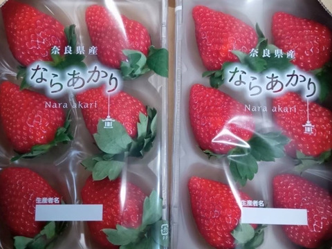 🏆いちごグランプリ2026金賞受賞　ならあかり　【いちご】奈良県　いちご　苺　イチゴ　2パック
