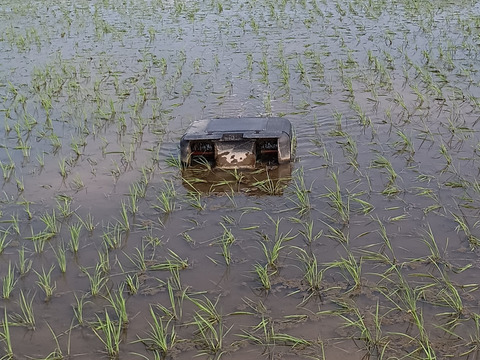 新潟県産コシヒカリかも米5k