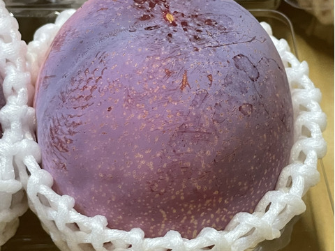 希少すもも、極上の味！貴陽(すもも)  1.8kg 6〜9個