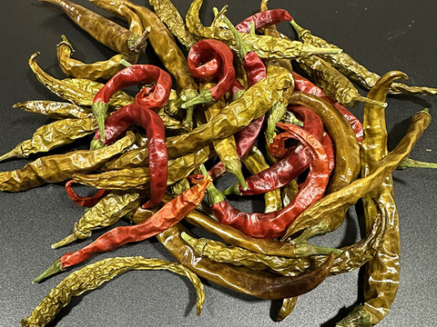 【乾燥唐辛子】なかなかの辛さ！プサジュエラ（約20g）農薬・化学肥料不使用