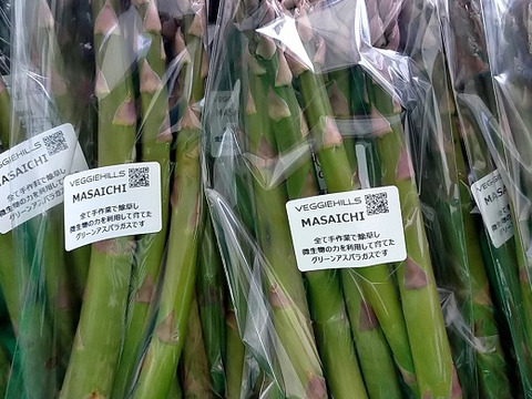 ★数量限定★北海道産！農薬不使用グリーンアスパラガス1.6kgサイズ混合