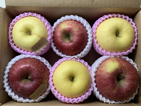 ご自宅で気軽に食べたい方へ【最小サイズ】「旬のりんごおまかせ便」2キロ【りんご食べ比べ】