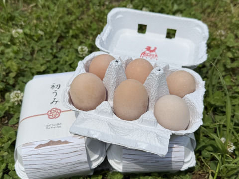 【限定！初産みたまご】＼瀬戸内の離島から／【太陽の恵みが詰まった！こだわりのコーチン種】 平飼い有精卵✨６個入り4パック  黄身も白身も、驚くほど力強い！玉子かけご飯にも✨