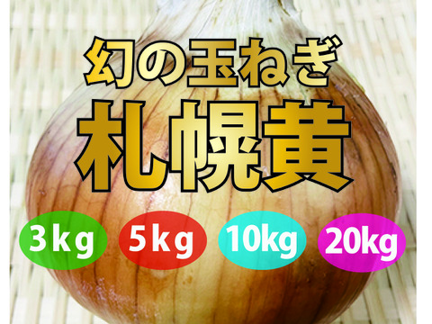 果物並みの糖度を誇る幻の玉ねぎ！「札幌黄」10kg