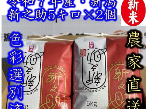 大粒で　粒感がありしっかりとした食感　冷めても固くなりにくい新米　新潟県のお米のトップブランド　新之助（新潟県認証銘柄）　白米5kg × 2個★農家直送★色彩選別済