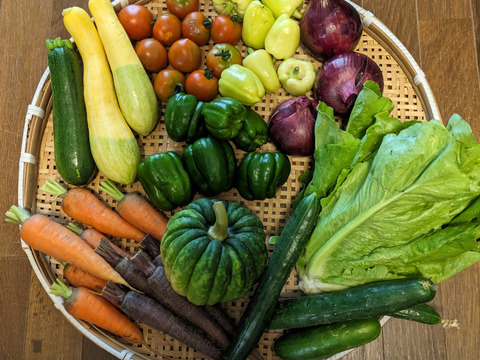 【8〜10品目】カラフル夏野菜ボリュームセット