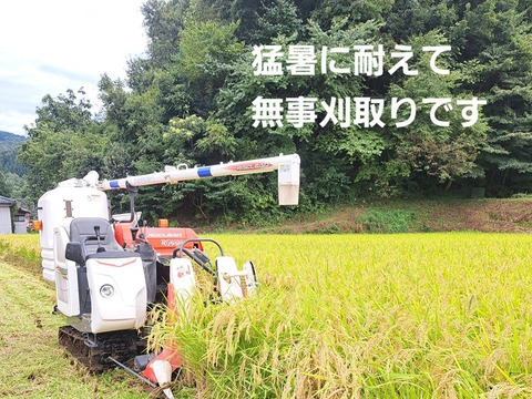 コシヒカリ 20kg 農家直送　精米済み 令和7年 新米】 【新潟・とちお産コシヒカリ】農家直送！山の湧