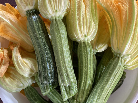 富山県産 花ズッキーニ 8本
