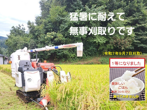 【新米・数量限定 即発送】令和7年産 新潟・とちお産コシヒカリ
農家直送！山の湧水で育った自慢の精米5kg（送料相当値引き中／箱込み総重量）