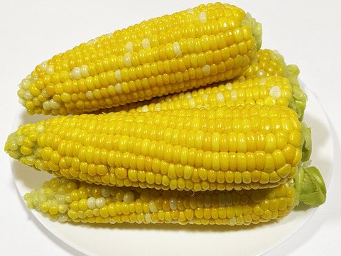 【渾身の出来】甘いとうもろこし（5~6個、約2kg）農薬・化学肥料不使用