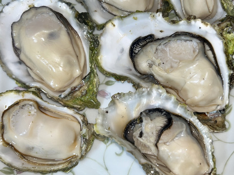 日間賀島産,日本一の天然牡蠣 100g±個体 3キロ焼30個±レンジでチンで簡単調理 ️ 冬牡蠣 天然牡蠣 【初売り出し】 身入りMAX,中